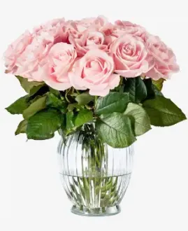  Vase Roses