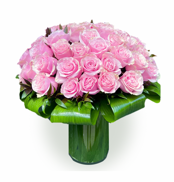 50 Pink Roses - A Luxurious Display of Elegance