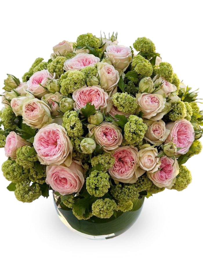 pink roses