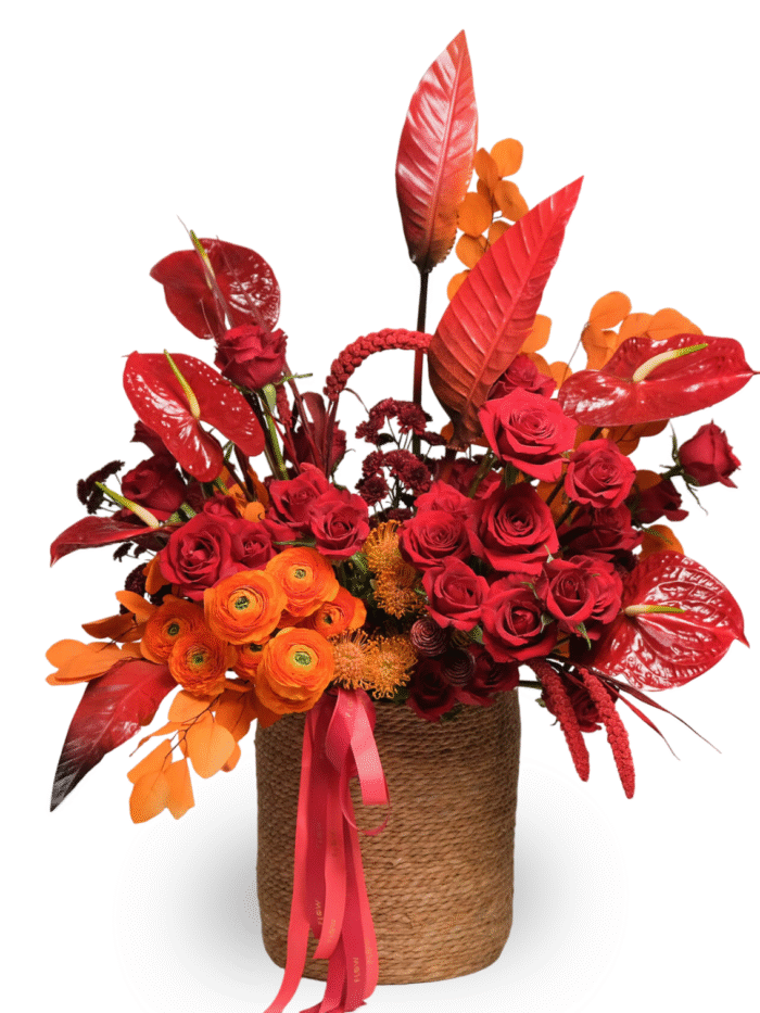 flame flower