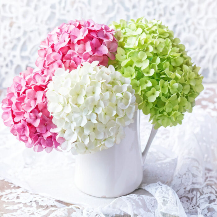 hydrangea-bouquet