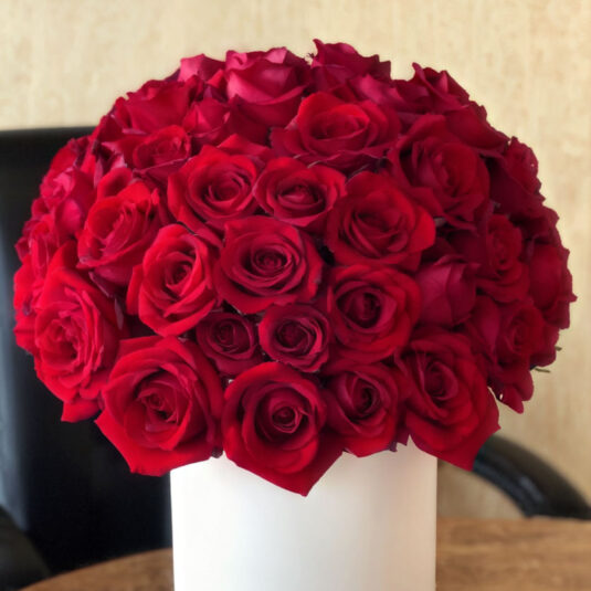 The Timeless Charm of Red Roses