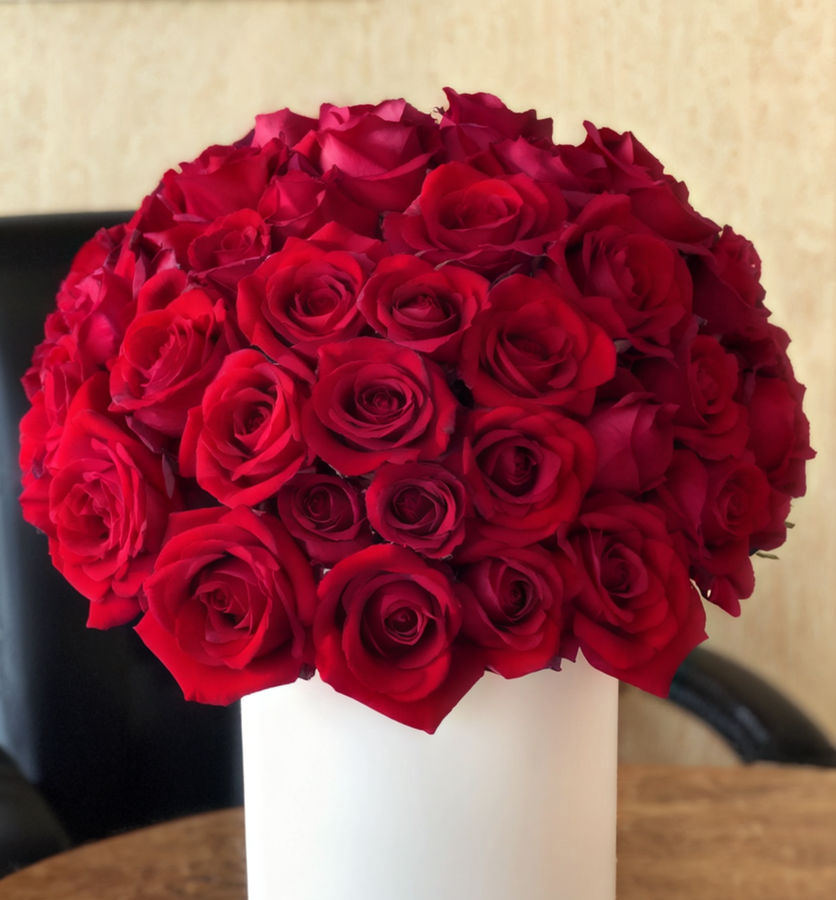 The Timeless Charm of Red Roses