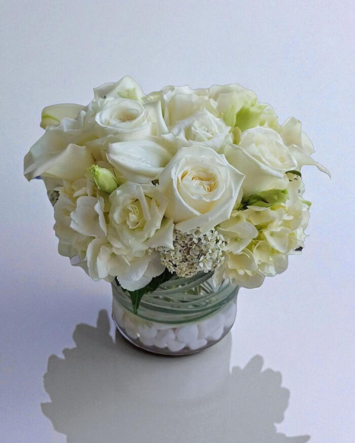 Rio-white-roses-