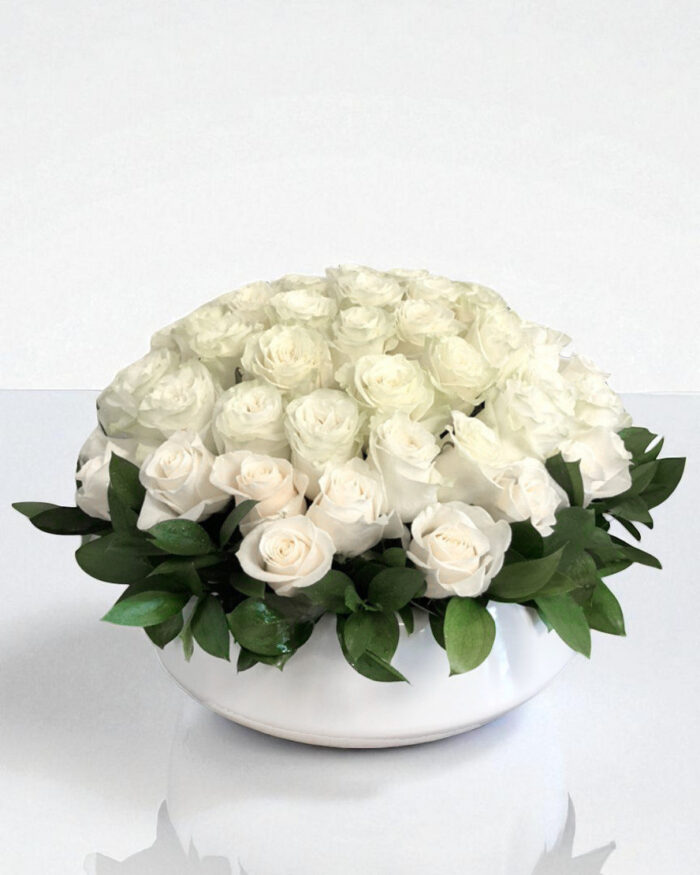 3dozens-white-roses-boca-raton
