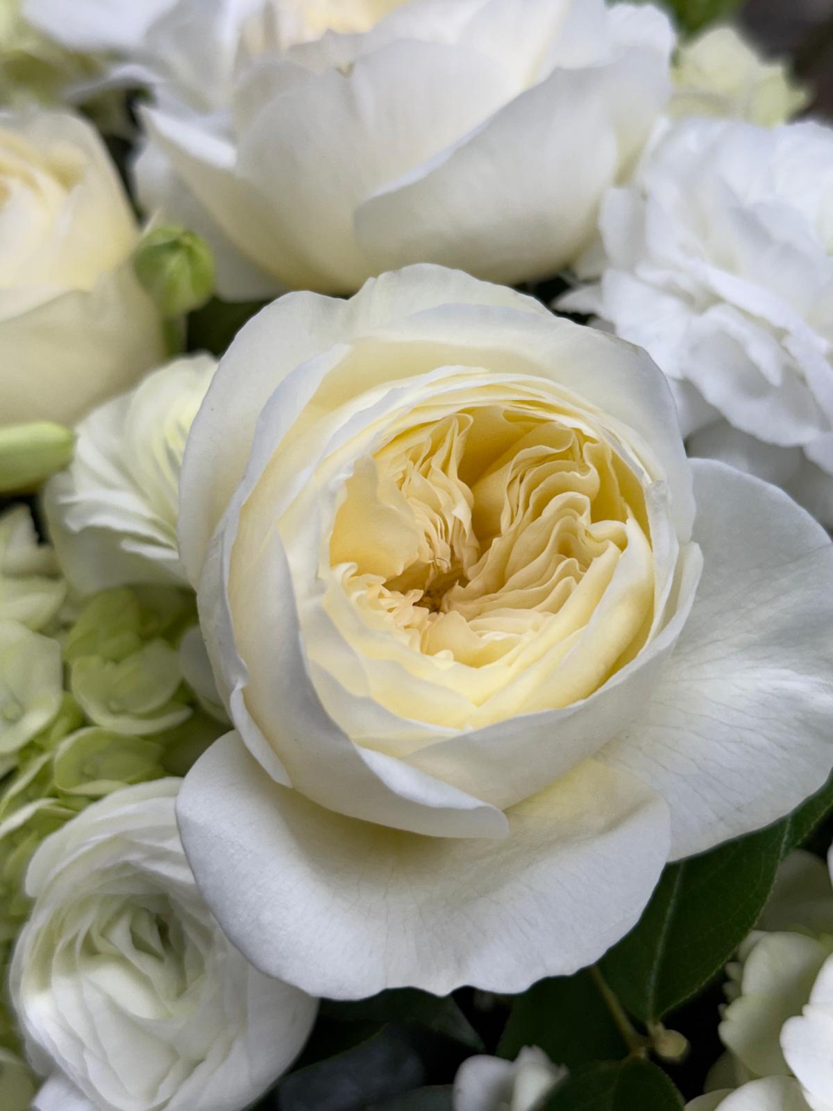 florist boca raton florida roses