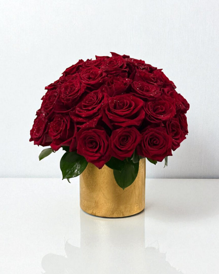 36Juliana-re roses boca