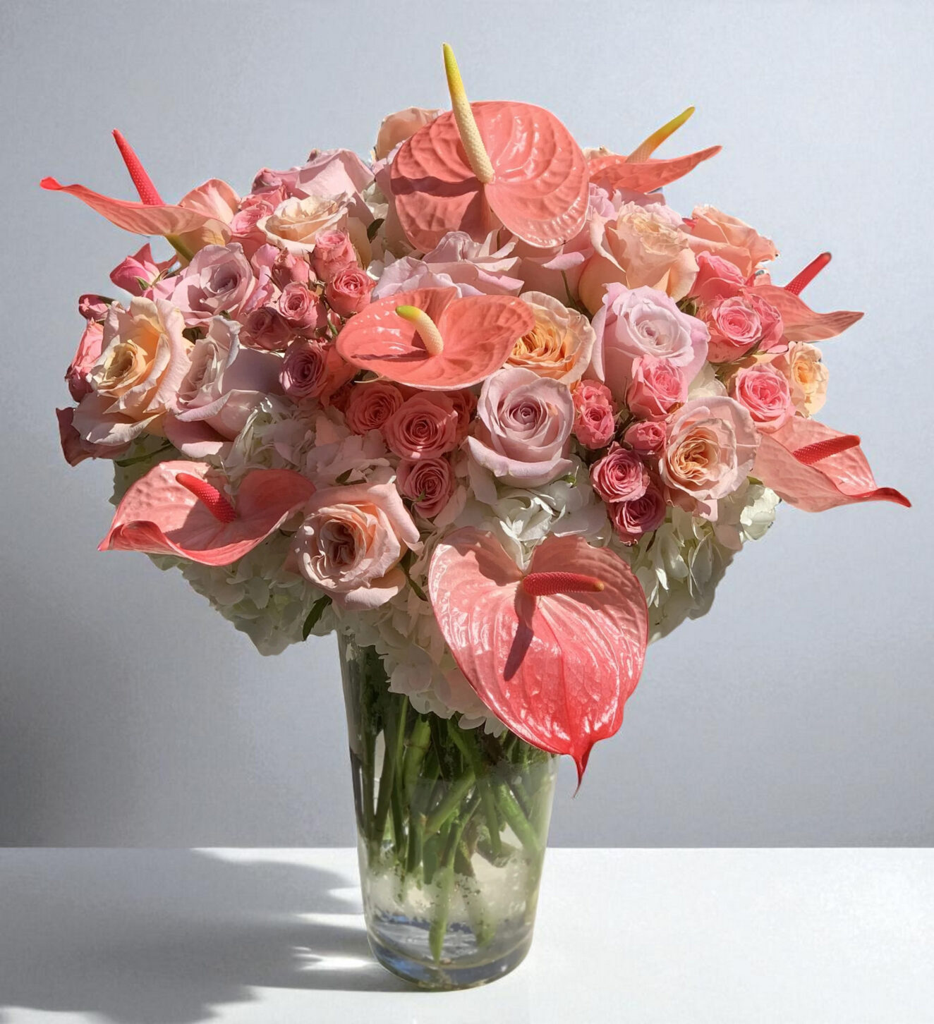 roses and anthurium