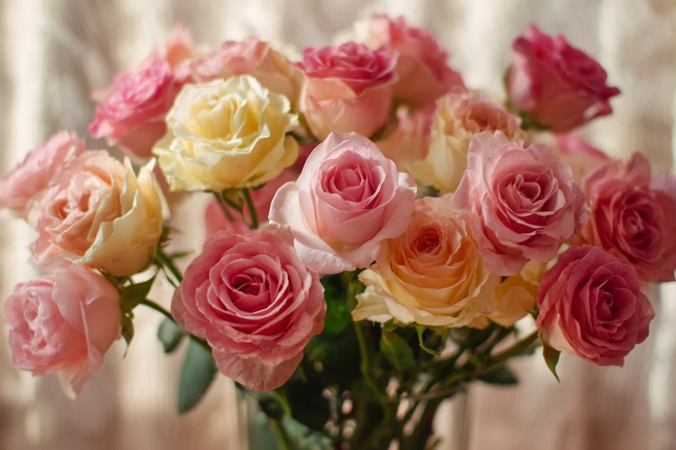 roses_arrangement_as_for_a_new_baby_gift