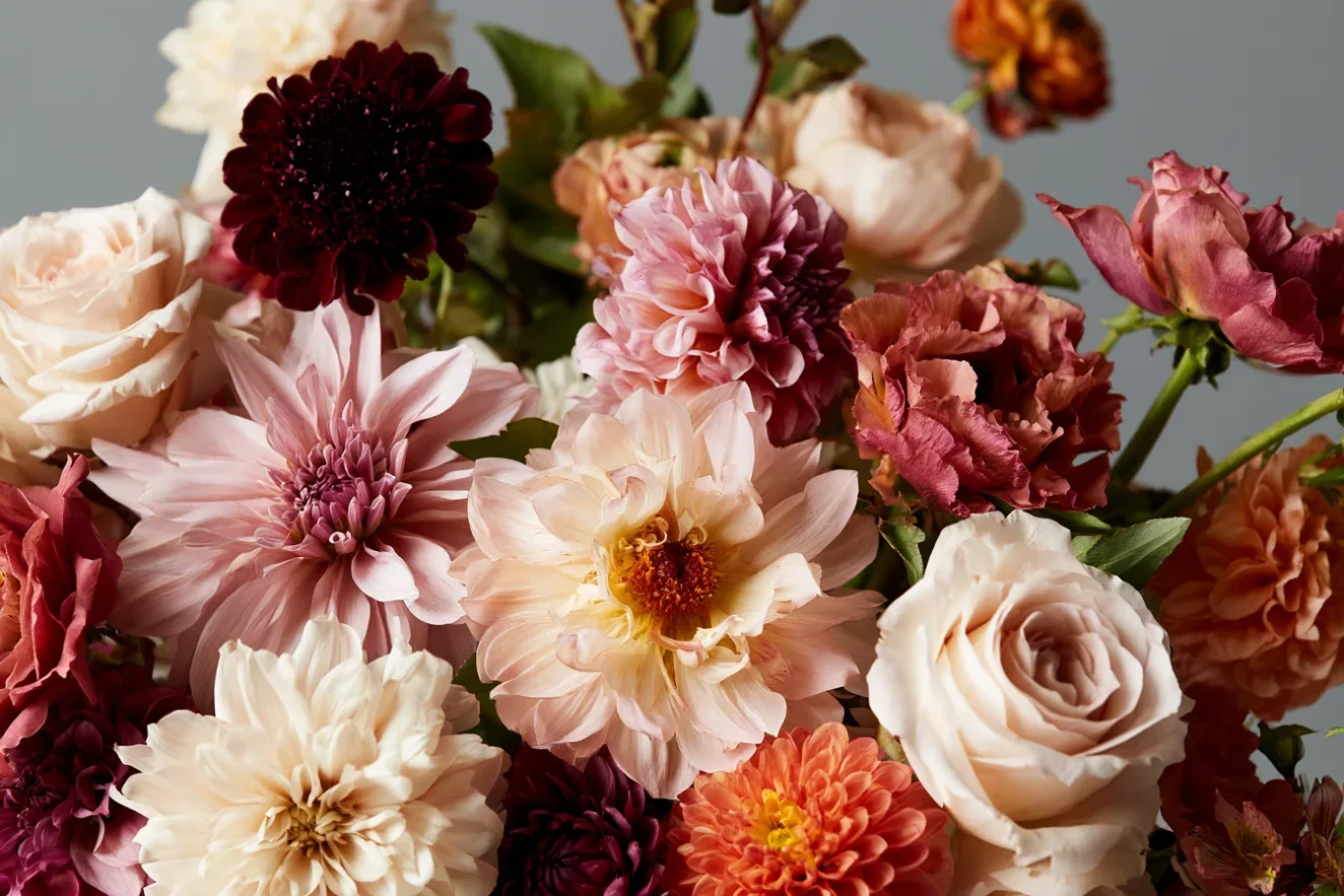 A Guide to Color and Occasion